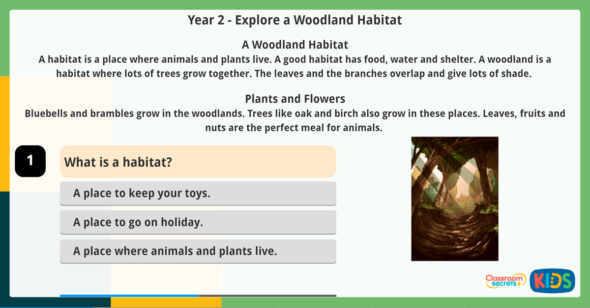 Science Year 2 Reading Comprehension Explore a Woodland Habitat