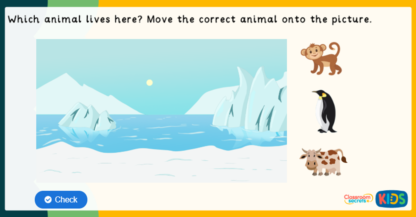 Reception Animal Environment Game Classroom Secrets Kids